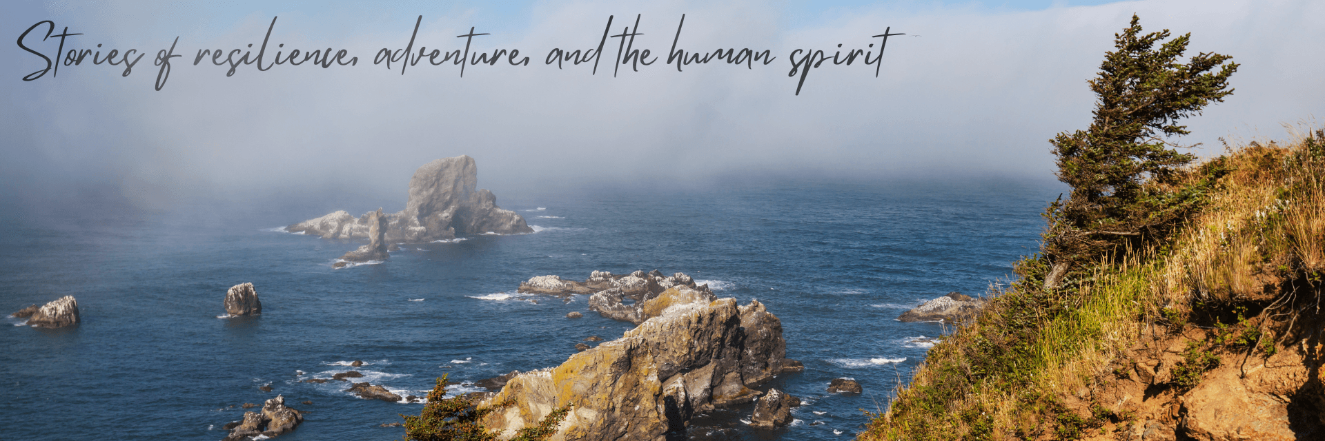 Stories of resilience, adventure, and the human spirit